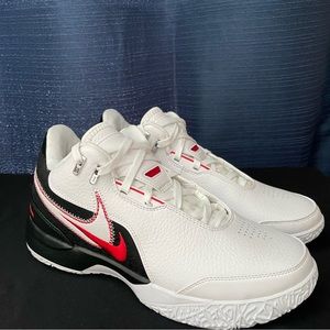 Nike LeBron NXXT Gen AMPD